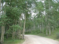 [Photo: Manti-La Sal; Skyline Drive]